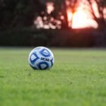 The Role of Soil and Turf Engineering in Sports Fields