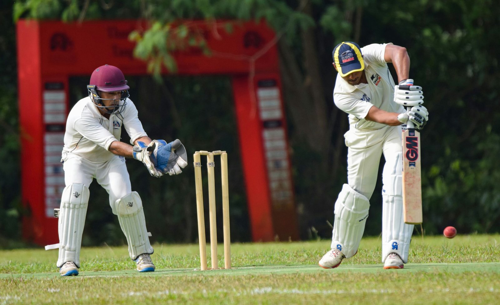 Cricket